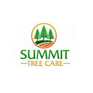 Summit Tree Care LLC 300x300