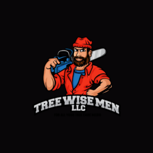 Tree Wise Men 300x300